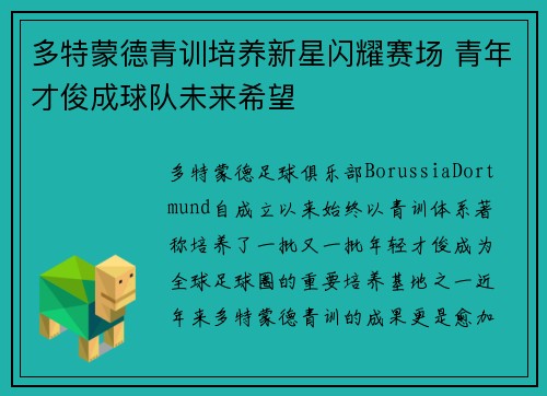 多特蒙德青训培养新星闪耀赛场 青年才俊成球队未来希望