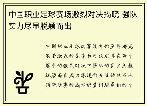 中国职业足球赛场激烈对决揭晓 强队实力尽显脱颖而出