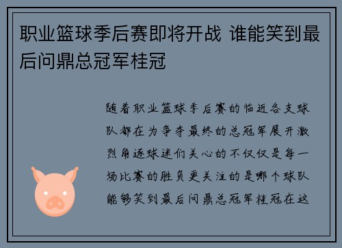 职业篮球季后赛即将开战 谁能笑到最后问鼎总冠军桂冠